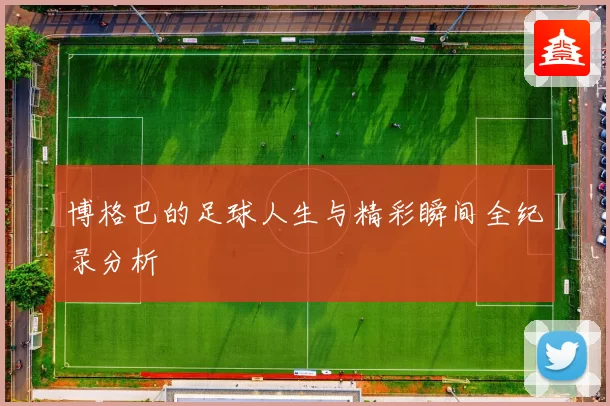 博格巴的足球人生与精彩瞬间全纪录分析